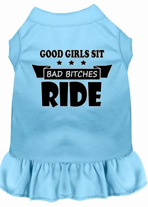 Bitches Ride Screen Print Dog Dress Baby Blue 4x (22)